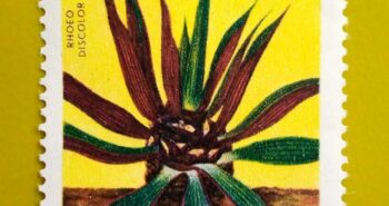 Issue:       Republic of South Maluku Flower Rhoeo Discolor Stamp Type:       Stamp Number of Stamps:          1 Stamps Denomination:            50 K,            Issue Date:            1950 Issued By:        Indonesia post 