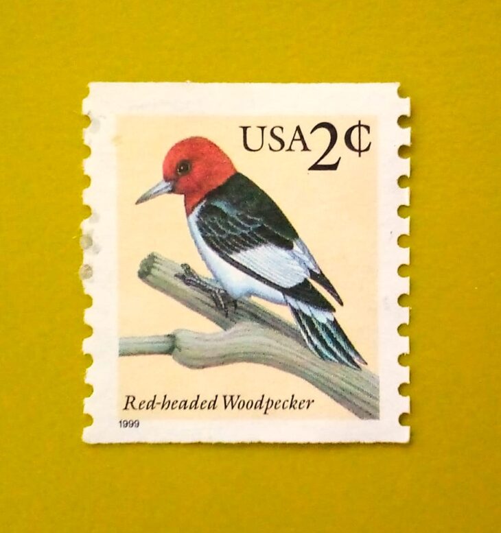 Issue:        USA Red-Headed Woodpecker 1999 Stamp Type:       Stamp Number of Stamps:           1 Stamps Denomination:           2 C, Issue Date:            1999 Issued By:        United States Postal Service (USPS) 