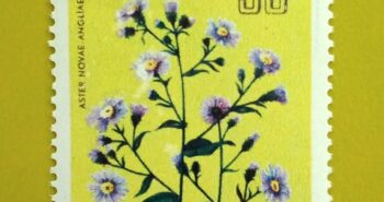 Issue:       Republic of South Maluku Aster Novae Flower 1954 Stamp Type:       Stamp Number of Stamps:          1 Stamps Denomination:            30  K, Issue Date:            1954 Issued By:        Indonesia post 