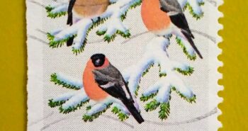 Issue:       Norway Eurasian Bullfinch 1985 Stamp Type:       Stamp Number of Stamps:          1 Denominations:          2.50  K , Issue Date:          1985 Issued By:       Norway Post 
