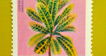 Issue:      Republic of South Maluku Garden Croton Codiaeum Variegatum Stamp Type:      Stamp Number of Stamps:         1 Stamps Denomination:           60 K,   Issue Date:         1954 Issued By:        Indonesia post 