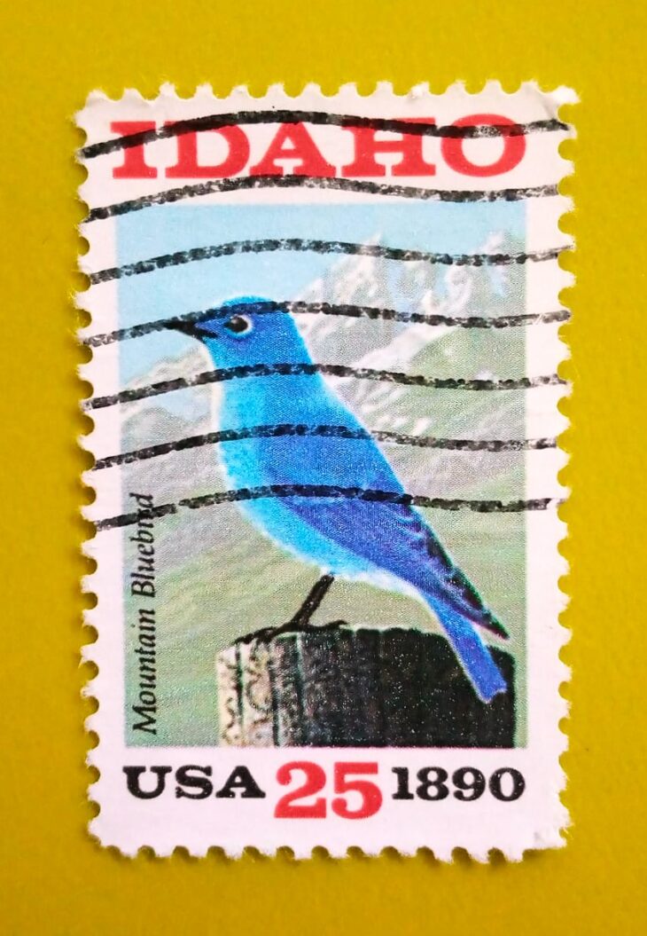 Issue:        USA Mountain Bluebird 1990 Stamp Type:       Stamp Number of Stamps:           1 Stamps Denomination:           25 C, Issue Date:            1990 Issued By:        United States Postal Service (USPS) 
