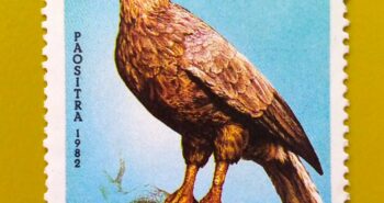 Issue:        Republic of Madagascar Fish Eagle 1982 Stamp Type:       Stamp Number of Stamps:        7 Stamps Denomination:         200 FMG , Issue Date:          1982 Issued By:        Madagascar Post