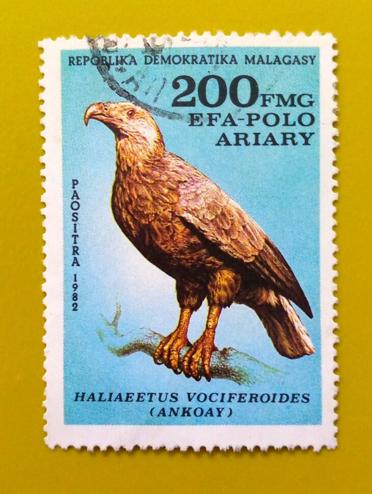 Issue:        Republic of Madagascar Fish Eagle 1982 Stamp Type:       Stamp Number of Stamps:        7 Stamps Denomination:         200 FMG , Issue Date:          1982 Issued By:        Madagascar Post