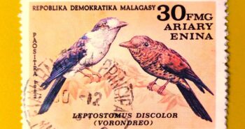 Issue:        Madagascar Republic (Malagasy) Leptosomus Discolor, Cuckoo Roller 1982 Stamp Type:         Stamp Number of Stamps:         3 Denominations:          3o FMG, Issue Date:           1982 Issued By:       Madagascar ( Post)