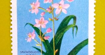 Issue:       Republic of South Maluku Aster Novae Flower 1954 Stamp Type:       Stamp Number of Stamps:          1 Stamps Denomination:           7 1/2 K, Issue Date:            1954 Issued By:        Indonesia post 