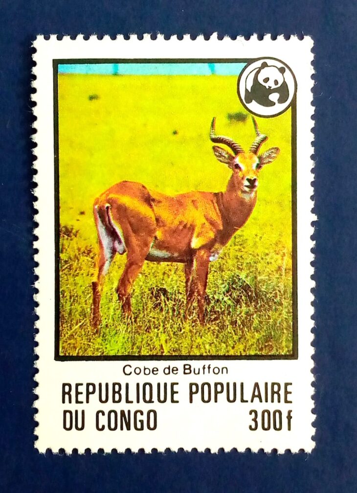 Issue:       People's Republic of the Congo Cobe de Buffon (Kob) 1978 Stamp Type:      Stamp Number of Stamps:          1 Stamps Denomination:         300 f , Issue Date:        1978 Issued By:       ( Republic Congo Post )