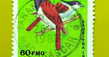 Issue:        Republic Democratic Malagasy Rufous Vanga 1986 Stamp Type:         Stamp Number of Stamps:         2 Denominations:           60 FMG, Issue Date:           1986 Issued By:       Madagascar Post 
