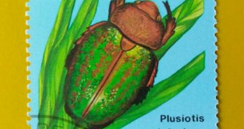 Issue:        Nicaragua Beetle Chrysina Victorina 1988 Stamp Type:      Stamp Number of Stamps:       1 Stamps Denomination:        12.00 $ C,  Issue Date:       1988 Issued By:        Nicaragua Post 
