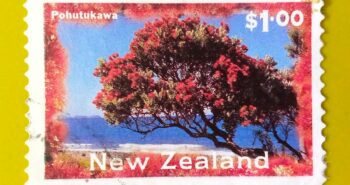 Issue:       New Zealand Pohutukawa 1996 Stamp Type:       Stamp Number of Stamps:         1 Stamps Denomination:       1.00 $, Issue Date:         1996 Issued By:       New Zealand POST 