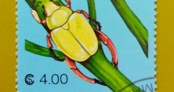 Issue:        Nicaragua Chrysina Macropus 1988 Stamp Type:      Stamp Number of Stamps:        1 Stamps Denomination:          4.00 $ C, Issue Date:        1988 Issued By:        Nicaragua Post 