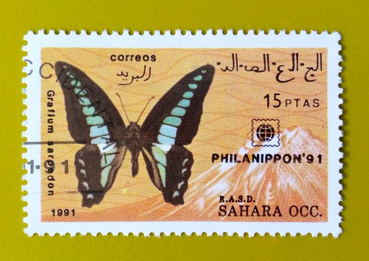 Issue:        Sahara Republic Graphium Sarpedon Butterfly 1991 Stamp Type:      Stamp Number of Stamps:        1 Stamps Denomination:        15  PTAS, Issue Date:       1991  Issued By:      Sahrawi Arab Democratic Republic Post 