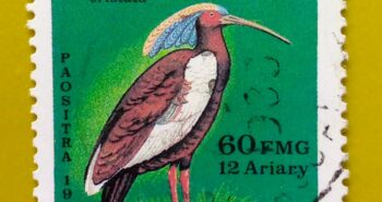 Issue:        Madagascar ibis Bird (Lophotibis Cristata) 1987 Stamp Type:         Stamp Number of Stamps:         4 Denominations:          6o FMG, Issue Date:           1987 Issued By:       Madagascar ( Post)