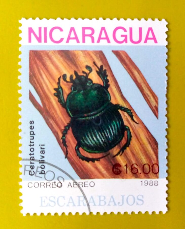 Issue:        Nicaragua Insects Ceratopteris Bolivari 1988 Stamp Type:      Stamp Number of Stamps:       1 Stamps Denomination:        16 $ C,  Issue Date:       1988 Issued By:        Nicaragua Post 
