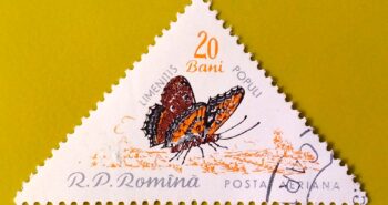 Issue:       Romania Butterfly Poplar admiral (Limenitis Populi) 1960 Stamp Type:        Stamp Number of Stamps:         1 Stamps Denomination:        20 Bani, Issue Date:       1960 Issued By:      Romania Post 