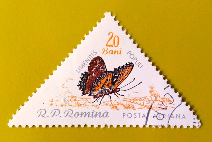 Issue:       Romania Butterfly Poplar admiral (Limenitis Populi) 1960 Stamp Type:        Stamp Number of Stamps:         1 Stamps Denomination:        20 Bani, Issue Date:       1960 Issued By:      Romania Post 