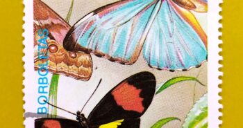 Issue:        São Tomé and Príncipe (Island) Db20 Butterfly 1989 Stamp Type:     Stamp Number of Stamps:        1 Stamps Denomination:         Db 20, Issue Date:         1989 Issued By:       Africa Post 