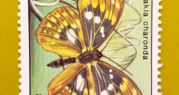 Issue:      Laos Sasakia Charonda Butterfly 1991  Stamp Type:         Stamp Number of Stamps:         1 Denominations:           55 K, Issue Date:           1991 Issued By:       Laos Post 