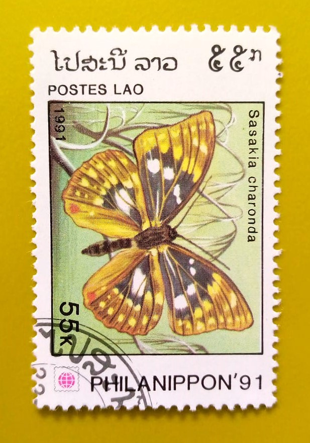 Issue:      Laos Sasakia Charonda Butterfly 1991  Stamp Type:         Stamp Number of Stamps:         1 Denominations:           55 K, Issue Date:           1991 Issued By:       Laos Post 