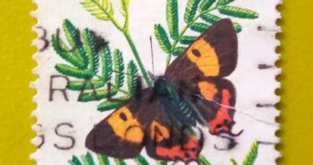Issue:         Australia Chlorinda Hairstreak (Silky hairstreak) Butterfly 1981 Stamp Type:         Stamp Number of Stamps:        1 Denominations:            30 C, Issue Date:         1981 Issued By:      Australia Post 