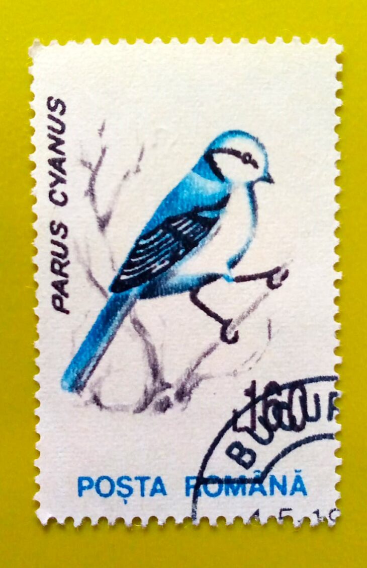 Issue:       Romania Parus Cyanus (Azure tit) 1993 Stamp Type:        Stamp Number of Stamps:         2 Stamps Denomination:        1.60 L, Issue Date:          1993 Issued By:      Romania Post 