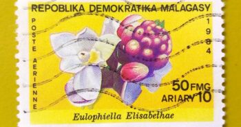 Issue:        Madagascar Democratic Republic Elizabeth's Eulophiella Flower 1984 Stamp Type:         Stamp Number of Stamps:         4 Denominations:           50 FMG, Issue Date:           1984 Issued By:       Madagascar Post 
