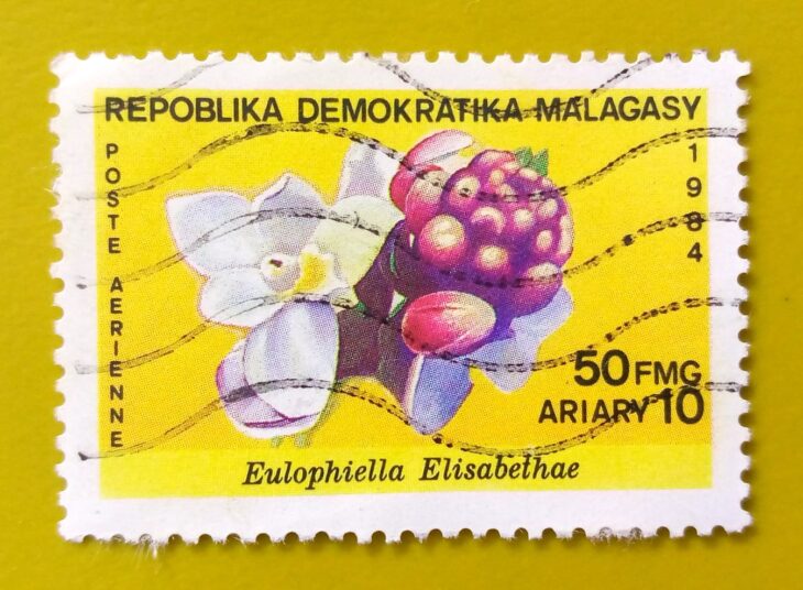 Issue:        Madagascar Democratic Republic Elizabeth's Eulophiella Flower 1984 Stamp Type:         Stamp Number of Stamps:         4 Denominations:           50 FMG, Issue Date:           1984 Issued By:       Madagascar Post 