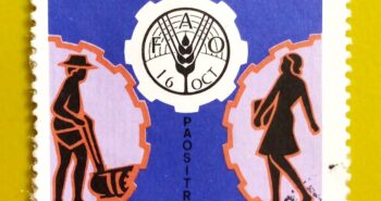 Issue:        Madagascar Democratic Republic World Food Day 1981 Stamp Type:         Stamp Number of Stamps:         5 Denominations:           200 FMG, Issue Date:           1981 Issued By:       Madagascar Post 