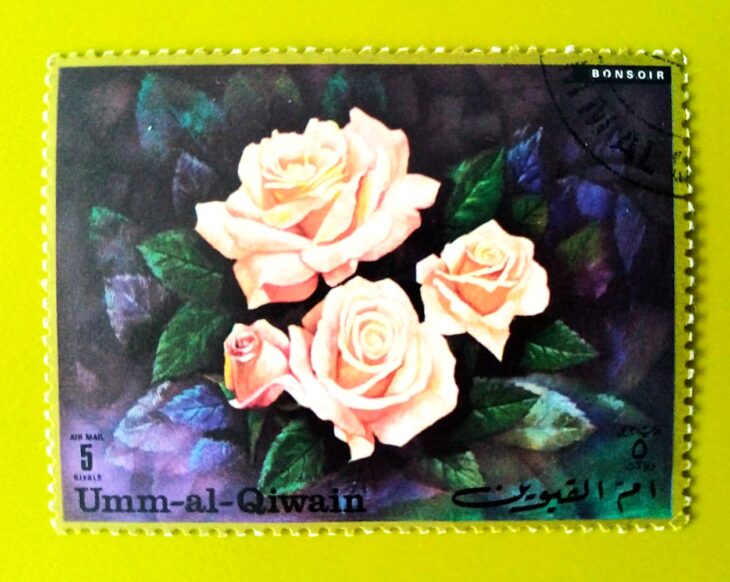 Issue:      United Arab Emirates Umm Al Qiwain Bonsoir Rose Bouquet Stamp Type:      Stamp Number of Stamps:       1 Stamps Denomination:         5 Fils, Issue Date:         1972 Issued By:      Arab Emirates Post 