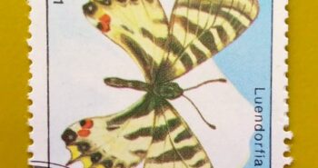 Issue:      Laos Luehdorfia Puziloi Butterfly 1991  Stamp Type:         Stamp Number of Stamps:         1 Denominations:           90 K, Issue Date:           1991 Issued By:       Laos Post 