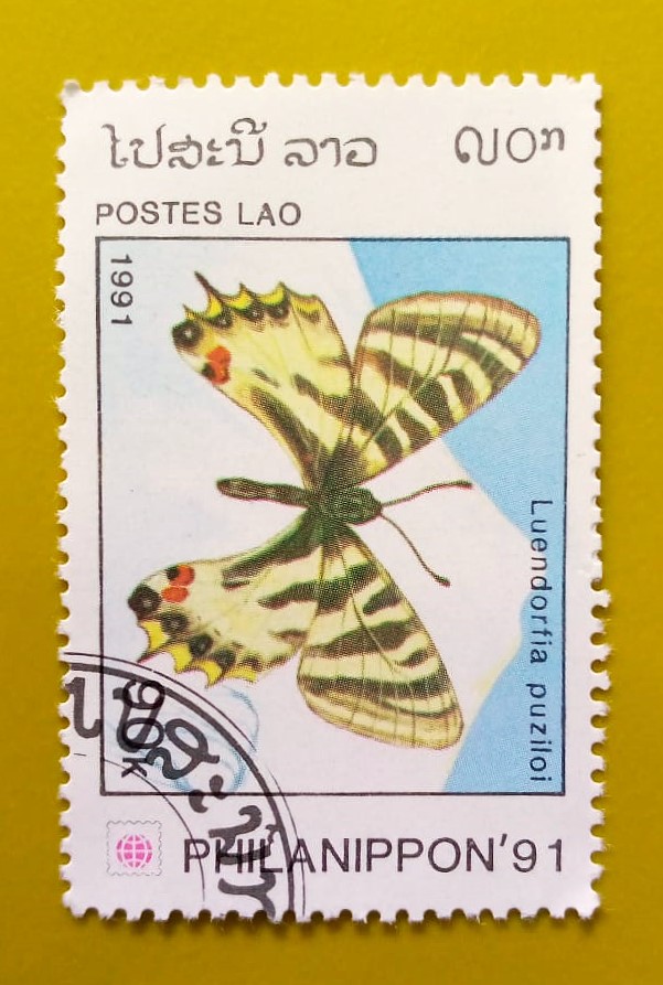 Issue:      Laos Luehdorfia Puziloi Butterfly 1991  Stamp Type:         Stamp Number of Stamps:         1 Denominations:           90 K, Issue Date:           1991 Issued By:       Laos Post 