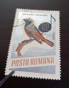 Issue: Romania Common redstart (Phoenicurus Phoenicurus) 1966 Stamp Type: Stamp Number of Stamps: 1 Stamps Denomination: 20 bani, Issue Date: 1966 Issued By: Romania Post