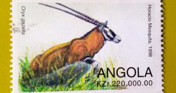 Issue:       Angola Oryx Gazella (Gemsbok) 1998 Stamp Type:      Stamp Number of Stamps:        1 Stamps Denomination:        220 KZr, Issue Date:        1998 Issued By:        Angola Post 