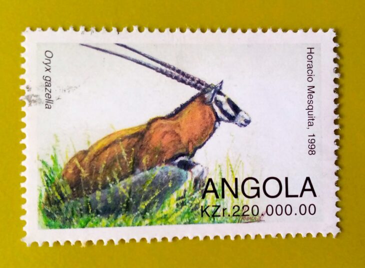 Issue:       Angola Oryx Gazella (Gemsbok) 1998 Stamp Type:      Stamp Number of Stamps:        1 Stamps Denomination:        220 KZr, Issue Date:        1998 Issued By:        Angola Post 