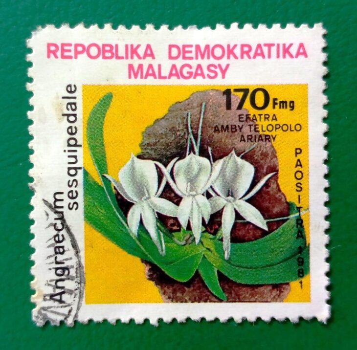 Issue:        Madagascar Democratic Republic Angraecum Sesquipedale Flower 1981 Stamp Type:         Stamp Number of Stamps:         8 Denominations:           170 FMG, Issue Date:           1981 Issued By:       Madagascar Post 