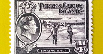 Issue:          Turks and Caicos Islands Raking Salt 1938 Stamp Type:        Stamp Number of Stamps:        1 Stamps Denomination:         1/4 d, Issue Date:         1938 Issued By:       Turks and Caicos Islands (British Overseas Territory)