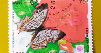 Issue:      Cambodia Cyrestis Thyodamas butterfly 1991 Stamp Type:     Stamp Number of Stamps:         1 Denominations:          70 R Issue Date:          1991 Issued By:      Cambodia Post