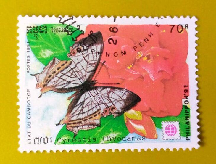 Issue:      Cambodia Cyrestis Thyodamas butterfly 1991 Stamp Type:     Stamp Number of Stamps:         1 Denominations:          70 R Issue Date:          1991 Issued By:      Cambodia Post