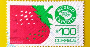 Issue:      Mexico Exporta Series Strawberry Stamp Type:     Stamp Number of Stamps:        1 Stamps Denomination:         100 Pesos, Issue Date:         1985 Issued By:     Mexico POST 