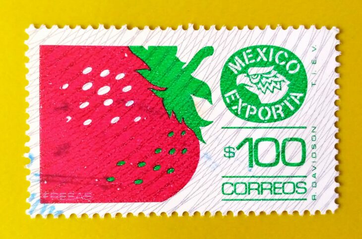 Issue:      Mexico Exporta Series Strawberry Stamp Type:     Stamp Number of Stamps:        1 Stamps Denomination:         100 Pesos, Issue Date:         1985 Issued By:     Mexico POST 