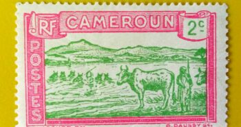 Issue:         Cameroon (French Colony) Cattle Fording River 2c 1925 Stamp Type:        Stamp  Stamps:          1        Stamps Denomination:       2 C,  Issue Date:       1925 Issued By:        French Colonial Administration