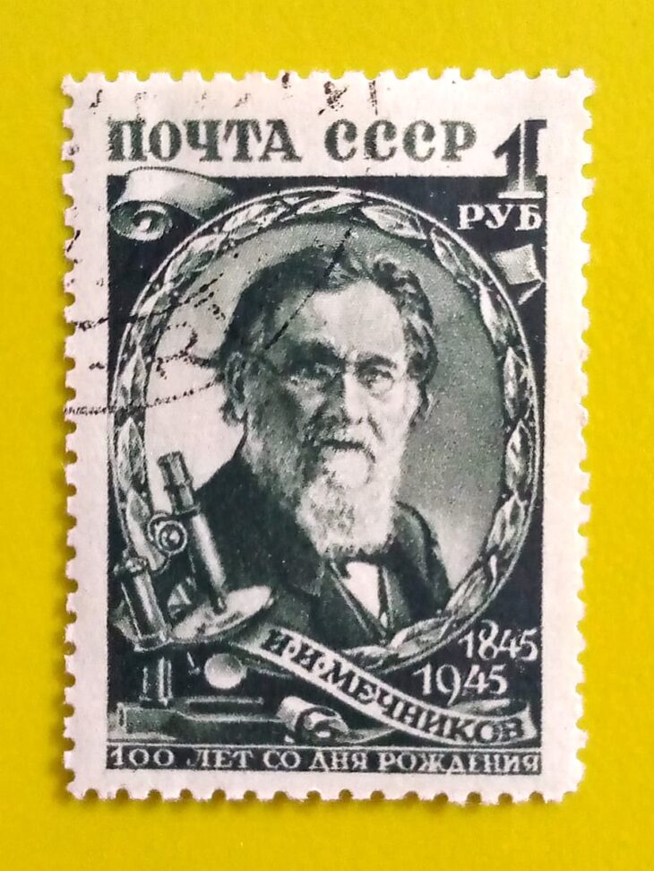 Issue:      Russia Élie Metchnikoff Zoologist and Bacteriol 1945 Stamp Type:       Stamp Number of Stamps:           1 Stamps Denomination:          1 K, Issue Date:          1945 Issued By:        Russia POST