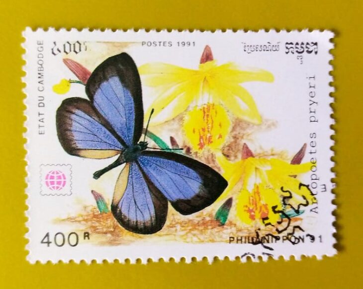 Issue:      Cambodia Artopoetes Pryeri Butterfly 1991 Stamp Type:      Stamp Number of Stamps:         1 Denominations:        400 R,         Issue Date:       1991 Issued By:       Cambodia Post 