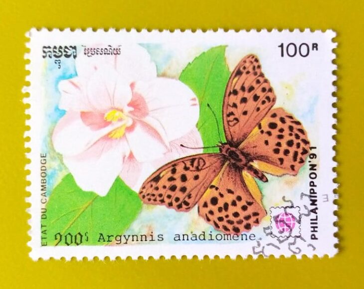 Issue:      Cambodia Argynnis Anadyomene Butterfly 1991 Stamp Type:      Stamp Number of Stamps:         1 Denominations:       100 yen, Issue Date:       1991 Issued By:       Cambodia Post 