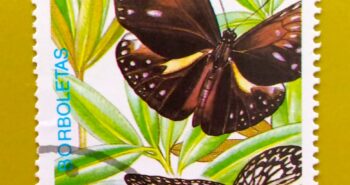 Issue:        São Tomé and Príncipe (Island) Butterfly 1989  Stamp Type:     Stamp Number of Stamps:        1 Stamps Denomination:         Db 20, Issue Date:         1989 Issued By:       Africa Post