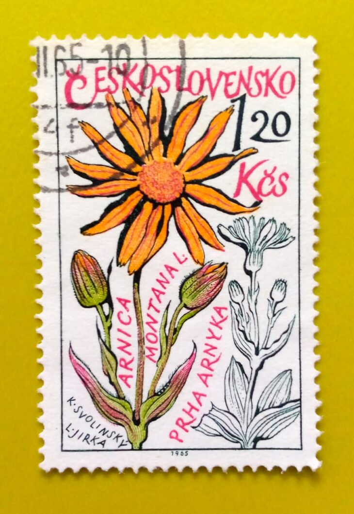 Issue:      Czechoslovakia Medicinal Plant 1965 Stamp Type:      Stamp Number of Stamps:       1 Stamps Denomination:         1.20 KCS, Issue Date:        1965 Issued By:      Czechoslovakia Postal Service (USPS) 
