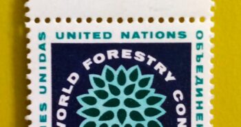 Issue:      United Nations Fifth World Forestry Congress 1960 Stamp Type:      Stamp Number of Stamps:       1 Stamps Denomination:        4 C, Issue Date:       1960 Issued By:      United Nations (New York) 