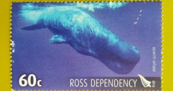 Issue:       New Zealand Sperm whale 2010 Stamp Type:       Stamp Number of Stamps:       1 Stamps Denomination:        60 C, Issue Date:        2010 Issued By:       New Zealand POST 