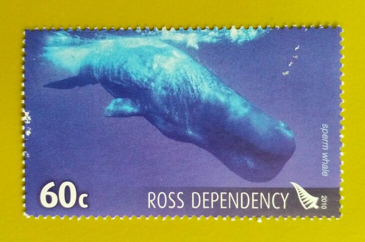 Issue:       New Zealand Sperm whale 2010 Stamp Type:       Stamp Number of Stamps:       1 Stamps Denomination:        60 C, Issue Date:        2010 Issued By:       New Zealand POST 
