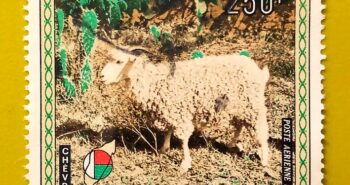 Issue:        Republic Malagasy Mohair Goat (Angora goat) 1972 Stamp Type:         Stamp Number of Stamps:         3 Denominations:           2.50 F, Issue Date:           1972 Issued By:       Madagascar Post 